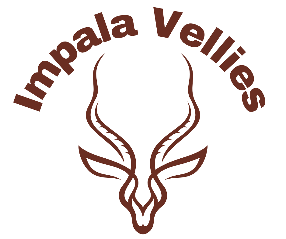 Logo only transparent